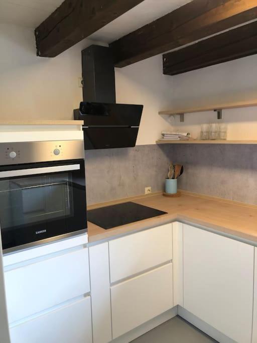Lovely Three Bedroom Rental Unit Oberstaufen Zewnętrze zdjęcie
